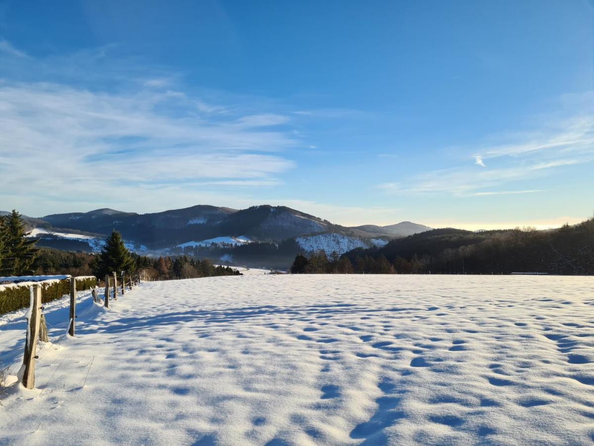 Ferienwohnung Auszeit Winterberg Zentrum المظهر الخارجي الصورة